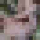 paar_2010_02826
