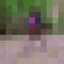 AngelikaLEV