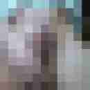 mydickforu