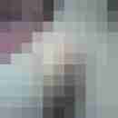 Amateur_86
