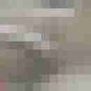 hengst1234