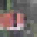 Lukefaud