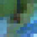 willimmer09