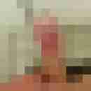 hauk1