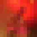 seemann0706