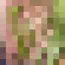 Carlchen