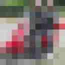 BiPaar658xx
