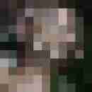 Phorus