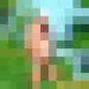 stierodin53