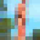 stierodin53
