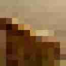 spassfactor6