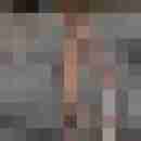 seemann0706
