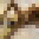Phorus