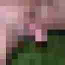 niccy67