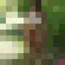 Baecker07