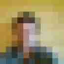 collin3366