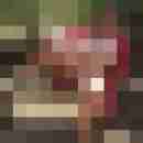 Baecker07