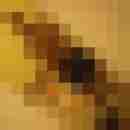 -Timtom35-