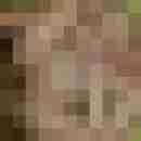 redfort