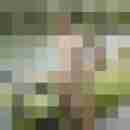 pe48andr