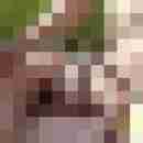redfort
