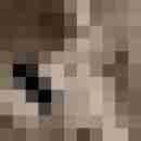 ficksiefoxi71