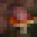 M_BER