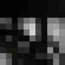 Phorus