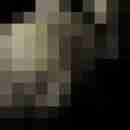 Phorus