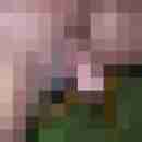 niccy67