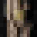 Phorus