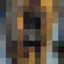 Bidwtcgn