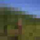 natur-player