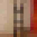 Pimpermusch