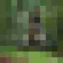 longdong72
