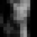 DoN_PaDrE