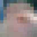 rolf_gruen