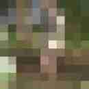 longdong72
