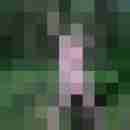 van_Canto