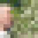 scipp68