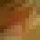 Versautes_paar_ibb