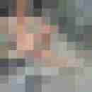 fersch