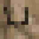 7 Bilder von White-Sin