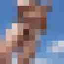harryeroprofile