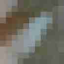 taucher72