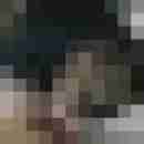hasehase23