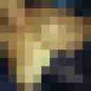 rolf_gruen