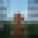 photoshooter