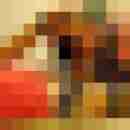 hasehase23