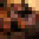 Hammboy25